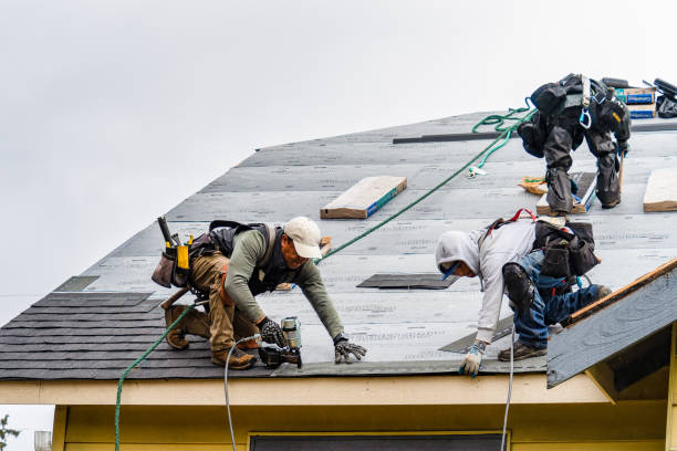 Professional Storm Damage Roof Repair technician working in Abbeville, MS